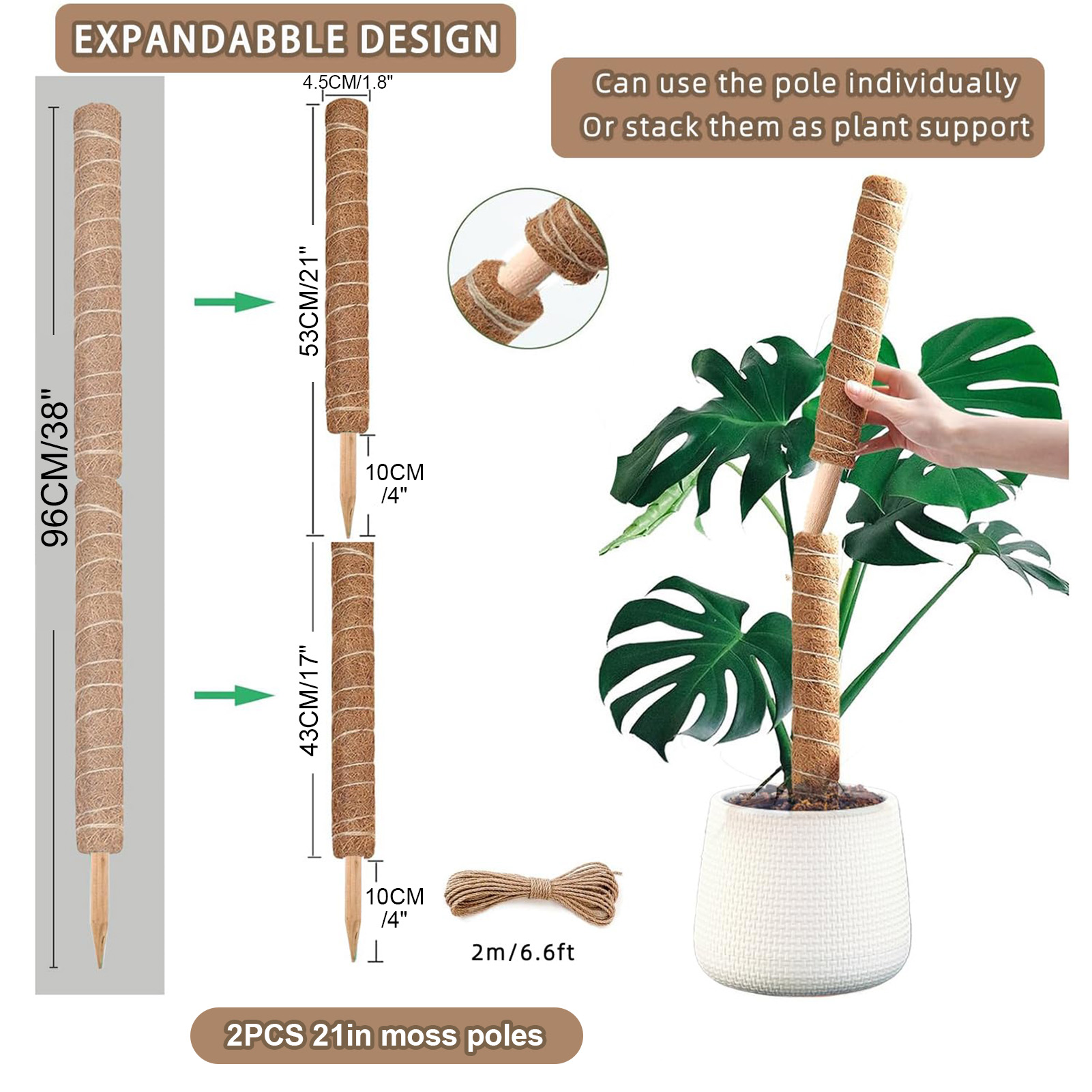 Moss Pole 38/43/53CM Monstera  - Sphagnum Moss Dry 评论和价格