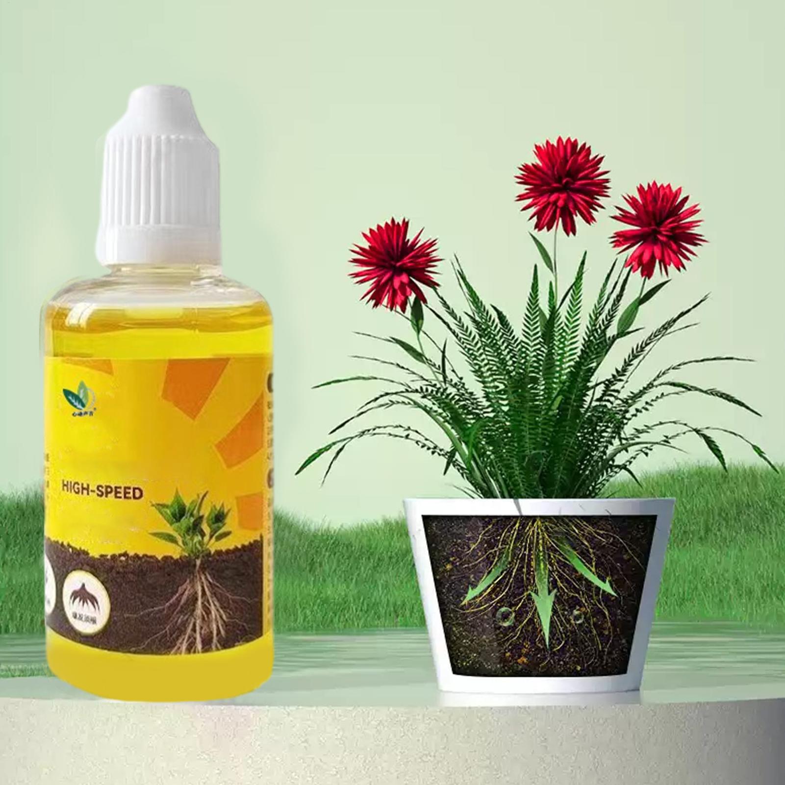 Plant Rooting Stimulator Liqui - Root Stimulator Liquid 评论和价格