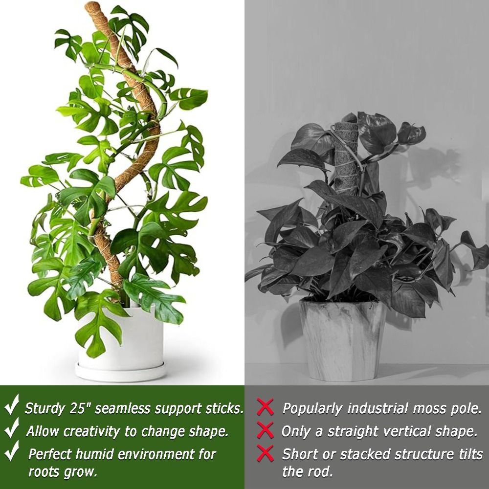 Plant Support Bendable Moss Po - Sphagnum Moss Dry 评论和价格