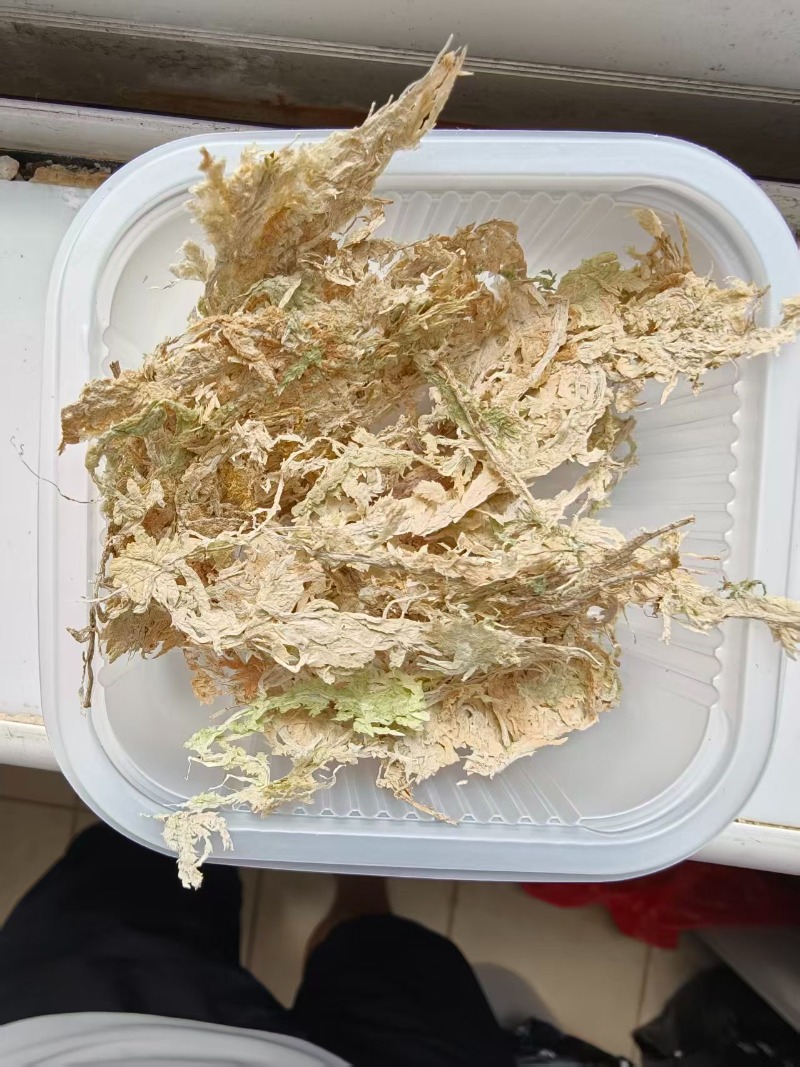 Premium Sphagnum Moss for Orch - Sphagnum Moss Dry 评论和价格